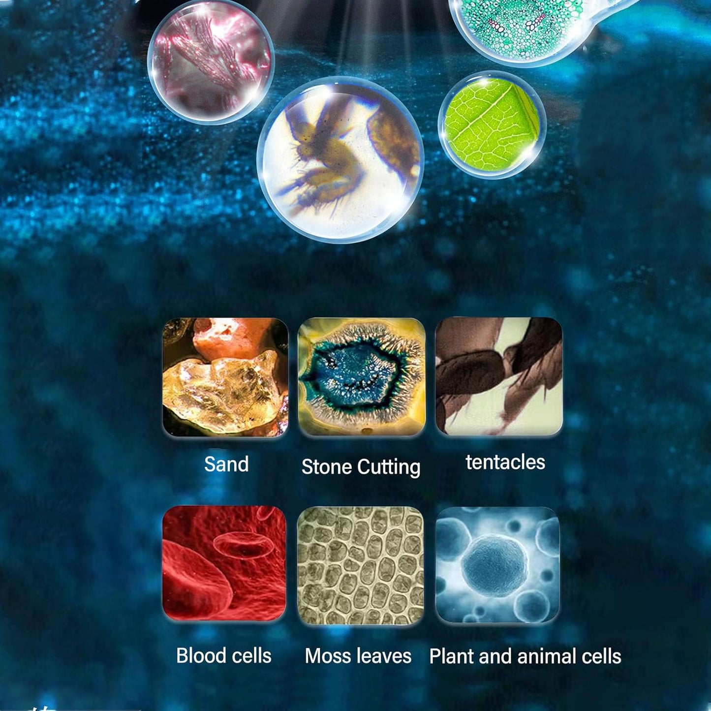 Digital Portable Microscope