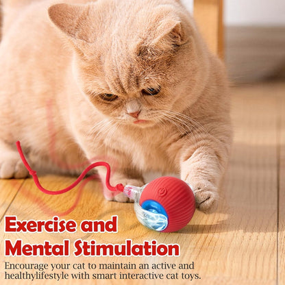 Smart Interactive Rolling Ball Toy for Cats & Small Dogs