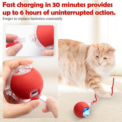 Smart Interactive Rolling Ball Toy for Cats & Small Dogs