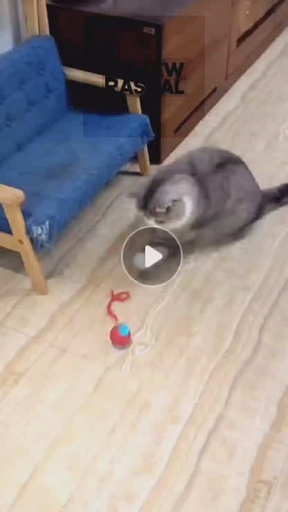 Smart Interactive Rolling Ball Toy for Cats & Small Dogs